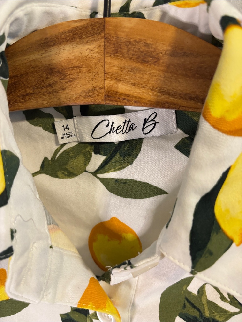 Chetta B Sleeveless Lemon Print Button Down Shirt Dress Size 14 Fit and Flare - Picture 3 of 8